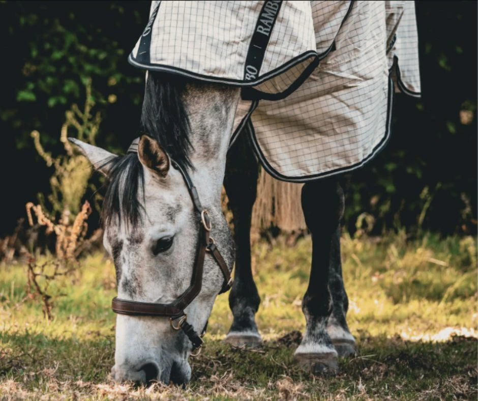 Coolers, Sheets & Stable Rugs