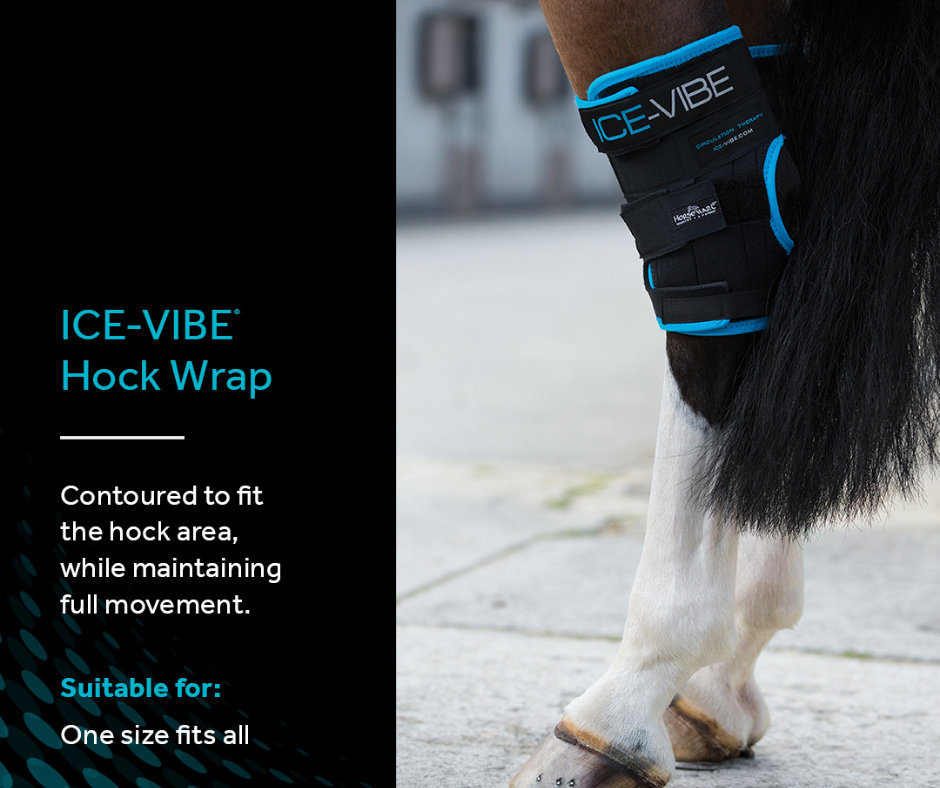 Ice-Vibe Circulation Hock Therapy