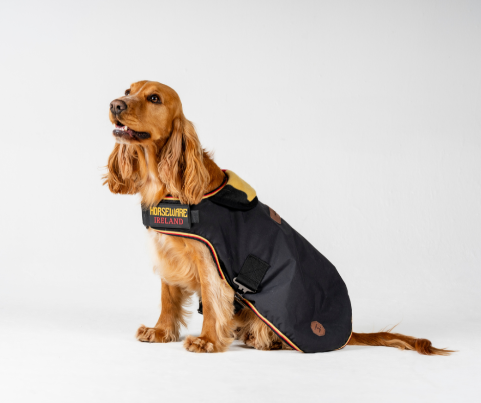 Horseware Newmarket Dog Coat
