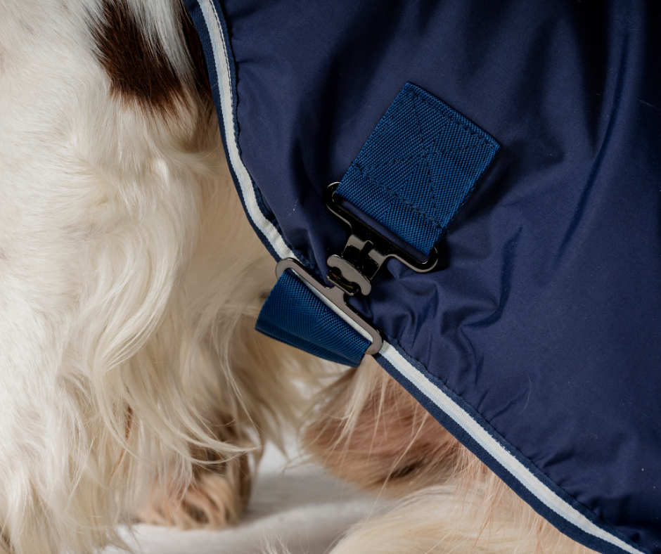 Horseware Newmarket Dog Coat