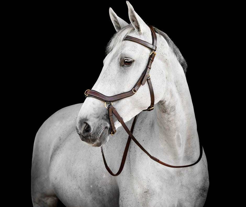 Horseware Micklem 2 Multi Bridle