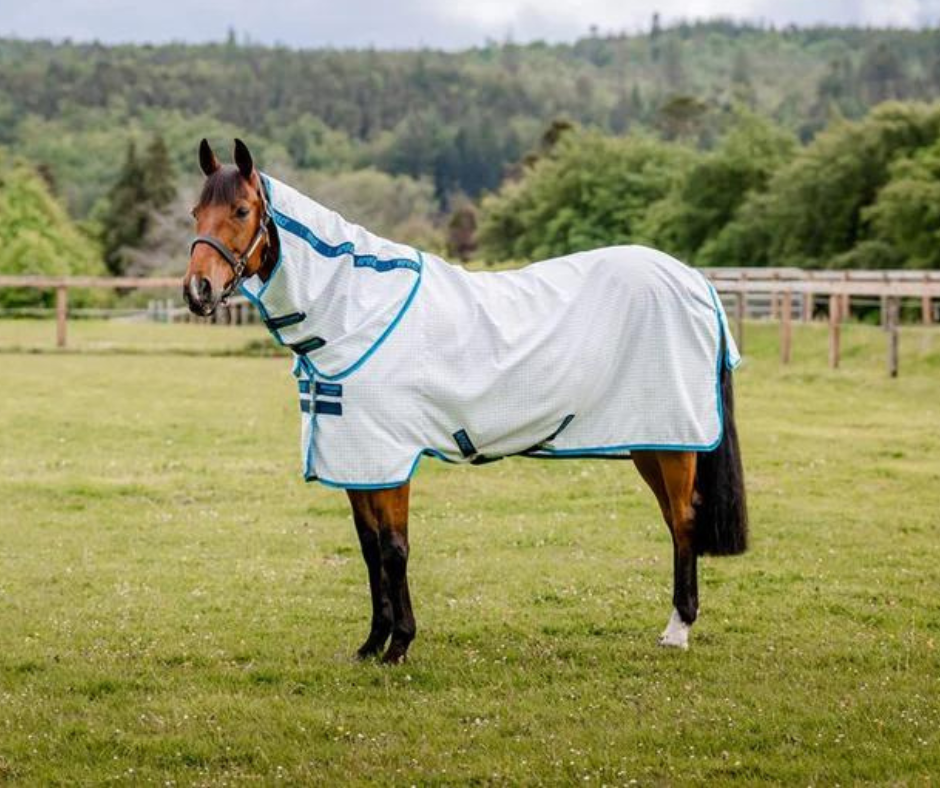 Amigo Aussie Allrounder Classic Front (Pony)