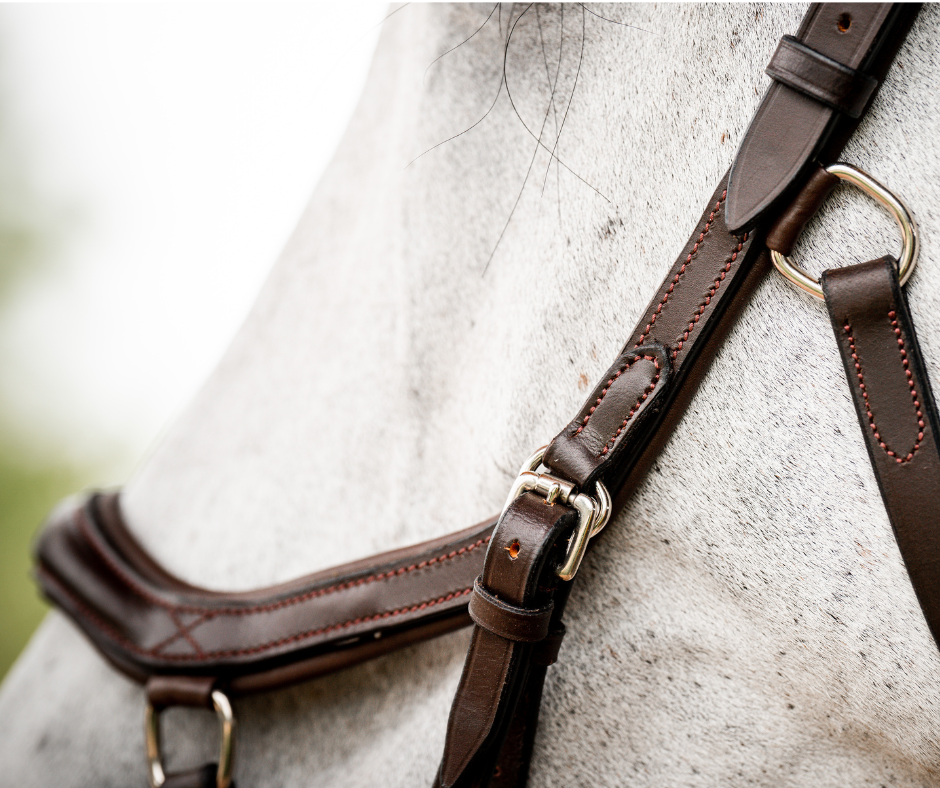 Horseware Micklem 2 Deluxe Competition Bridle