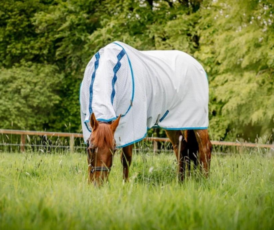 Amigo Aussie Allrounder Classic Front (Pony)