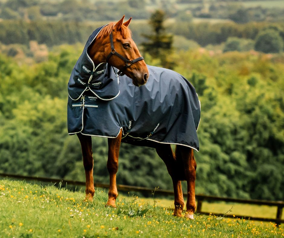 Amigo Ripstop 900D Plus Turnout 0g - Size 4'3NZ (5'6Uk)