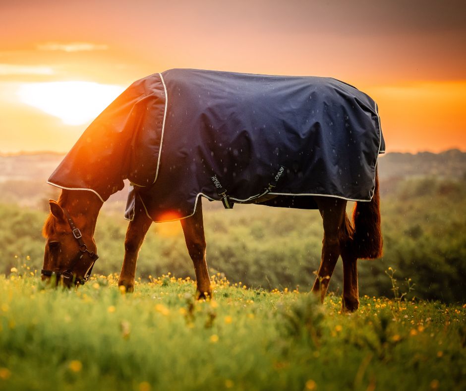 Amigo Ripstop 900D Plus Turnout 0g - Size 4'3NZ (5'6Uk)