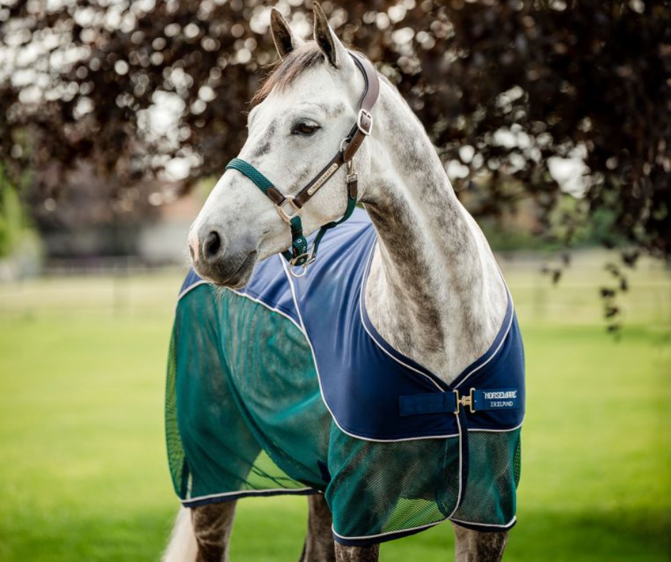 Horseware Signature Sport Cooler (size 5'6Uk to 6'0Uk)