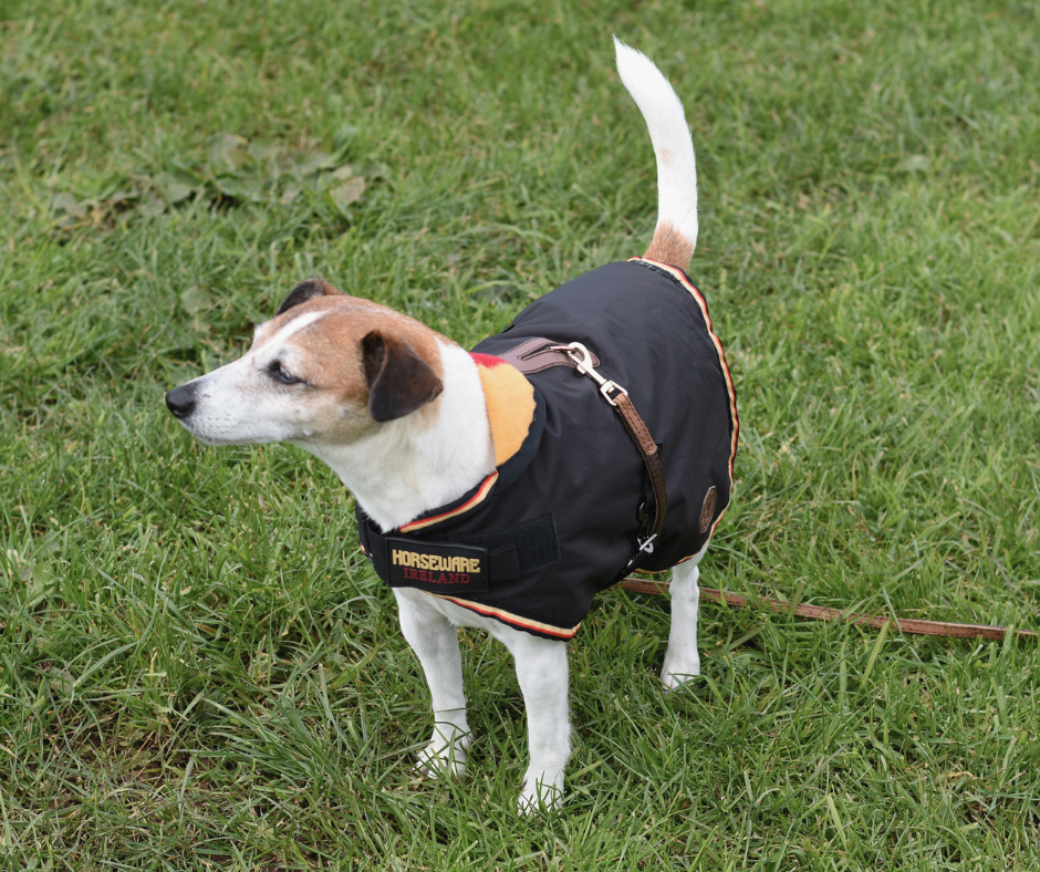Horseware Newmarket Dog Coat