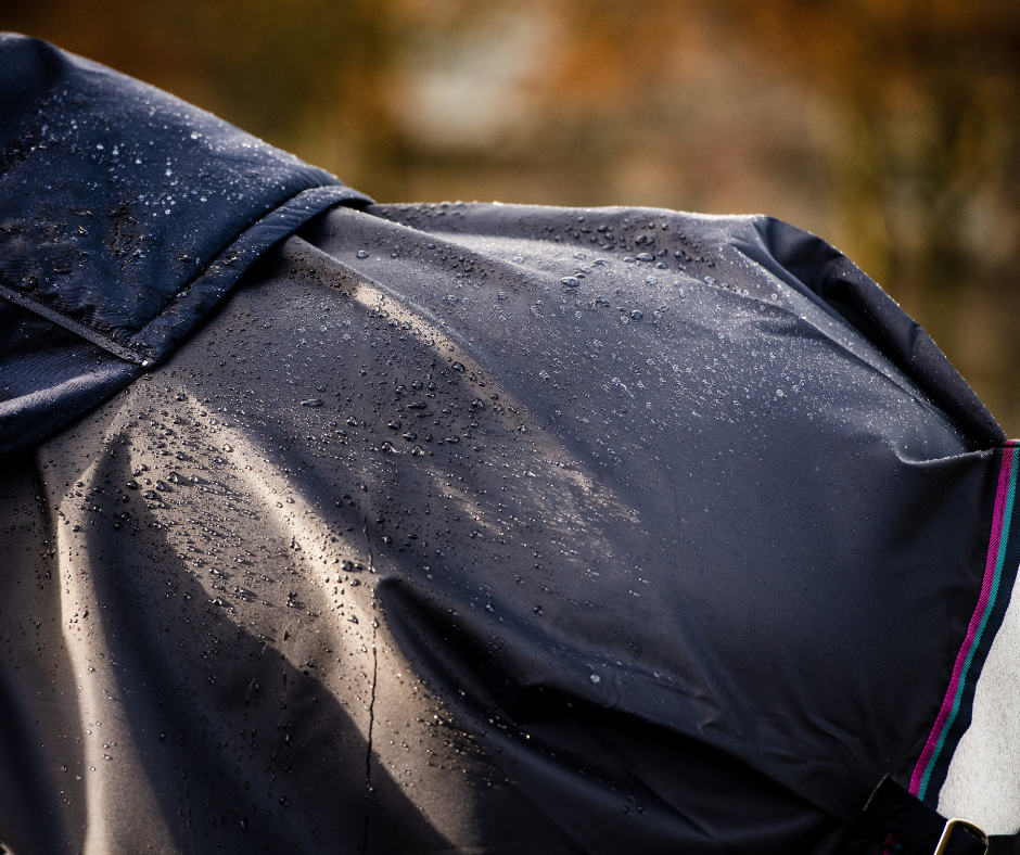 Rambo Mack in a Sack