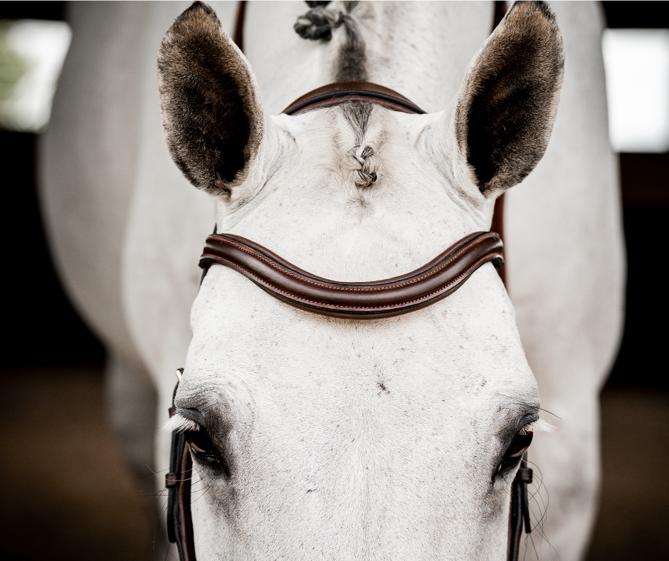 Horseware Micklem 2 Deluxe Competition Bridle