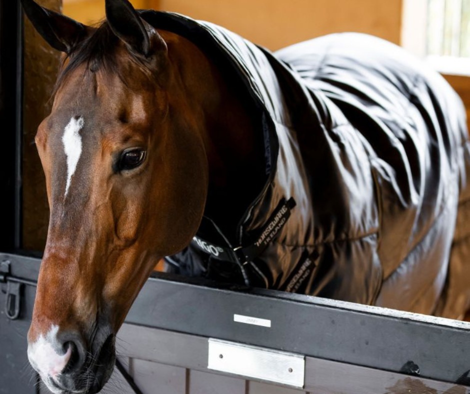 Amigo Ripstop Insulator Plus Stable Rug 200g