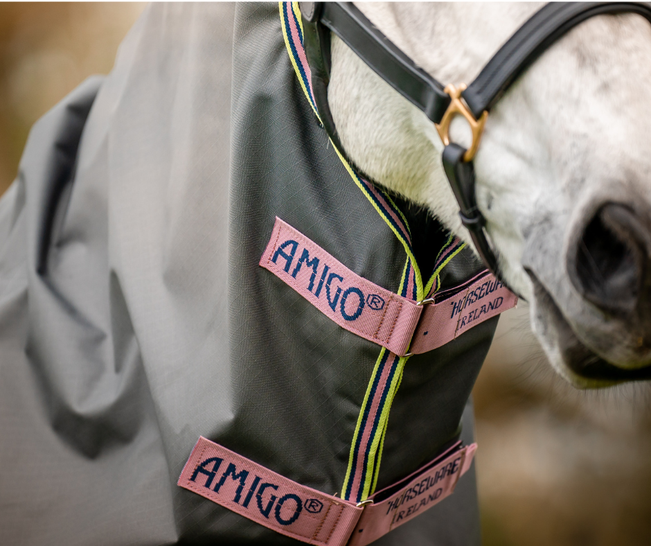 Amigo Hero Ripstop Plus Lite