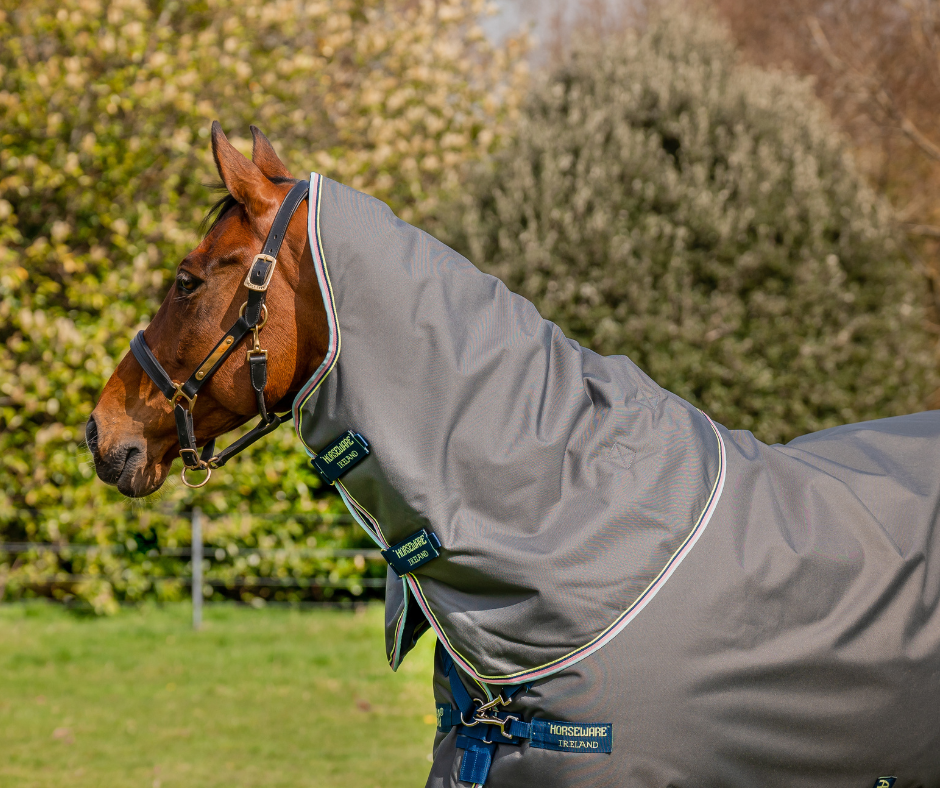 Amigo Bravo 12 Plus Turnout - Size 4'3NZ (5'6Uk)