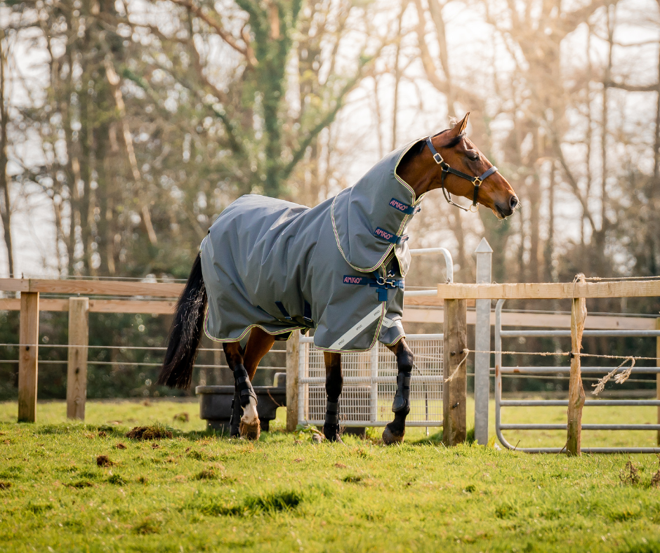 Amigo Bravo 12 Plus Turnout - Size 4'3NZ (5'6Uk)