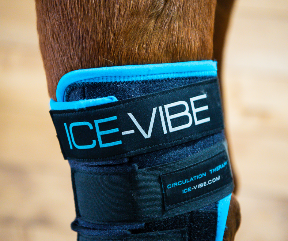 Ice-Vibe Circulation Hock Therapy