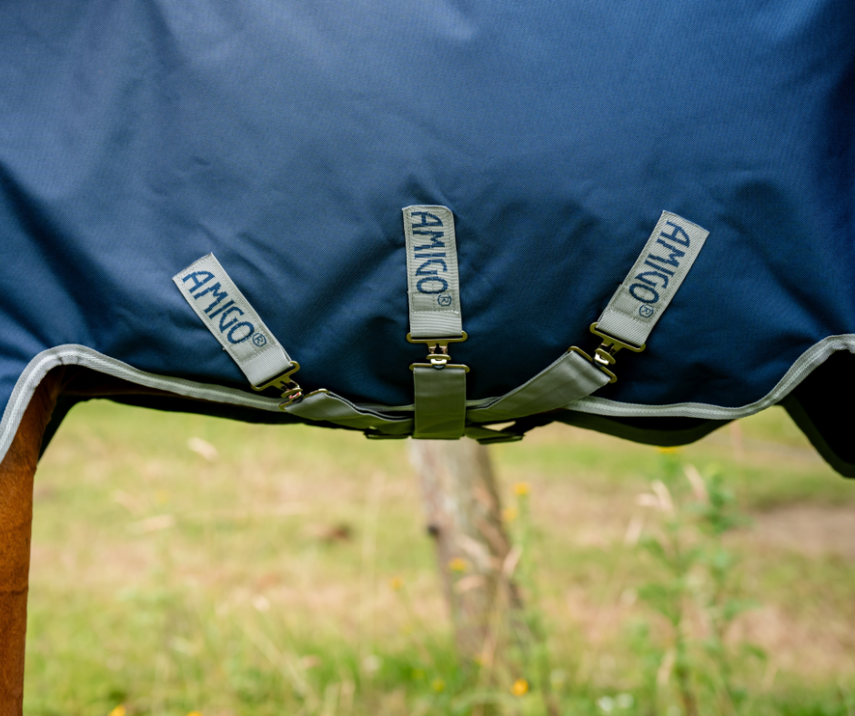 Amigo 1200D Plus Turnout 100g