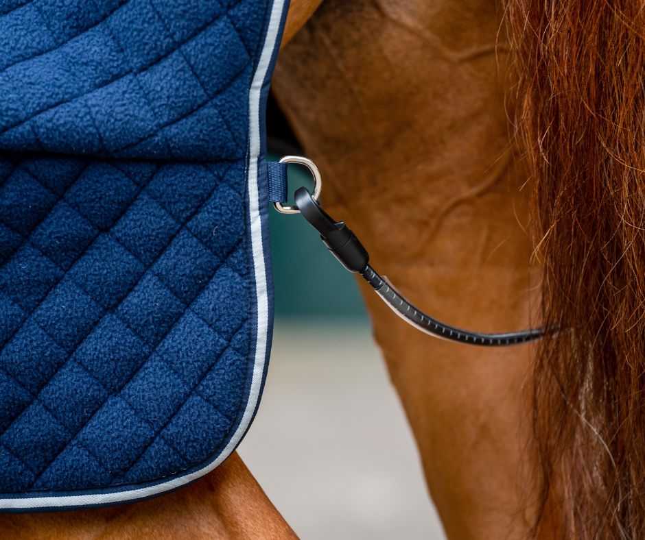 Horseware Thermal Cooler