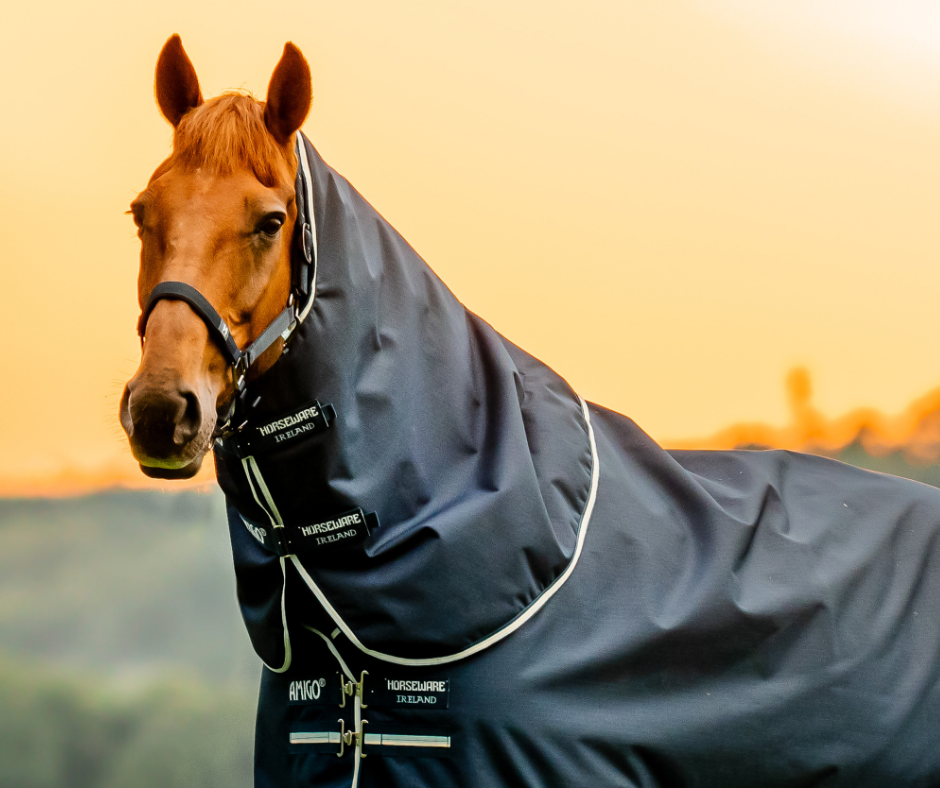 Amigo Ripstop 900D Plus Turnout 0g - Size 4'3NZ (5'6Uk)