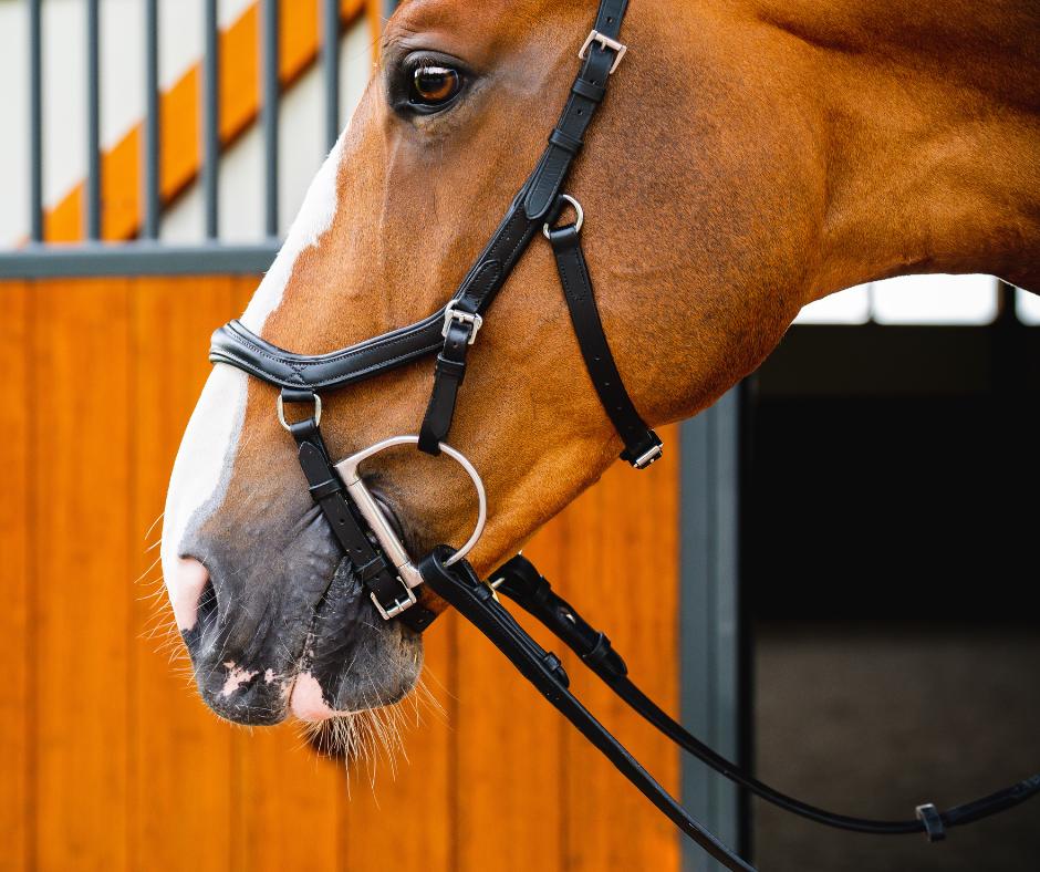 Horseware Micklem 2 Deluxe Competition Bridle