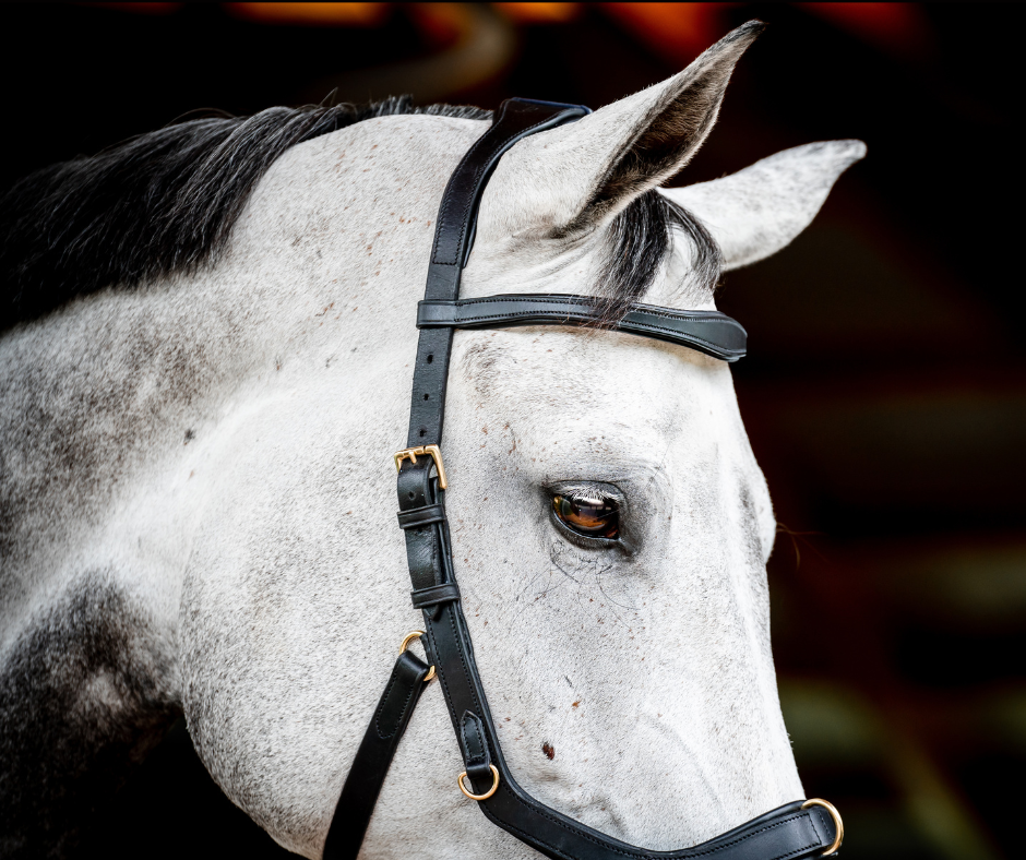 Horseware Micklem 2 Multi Bridle
