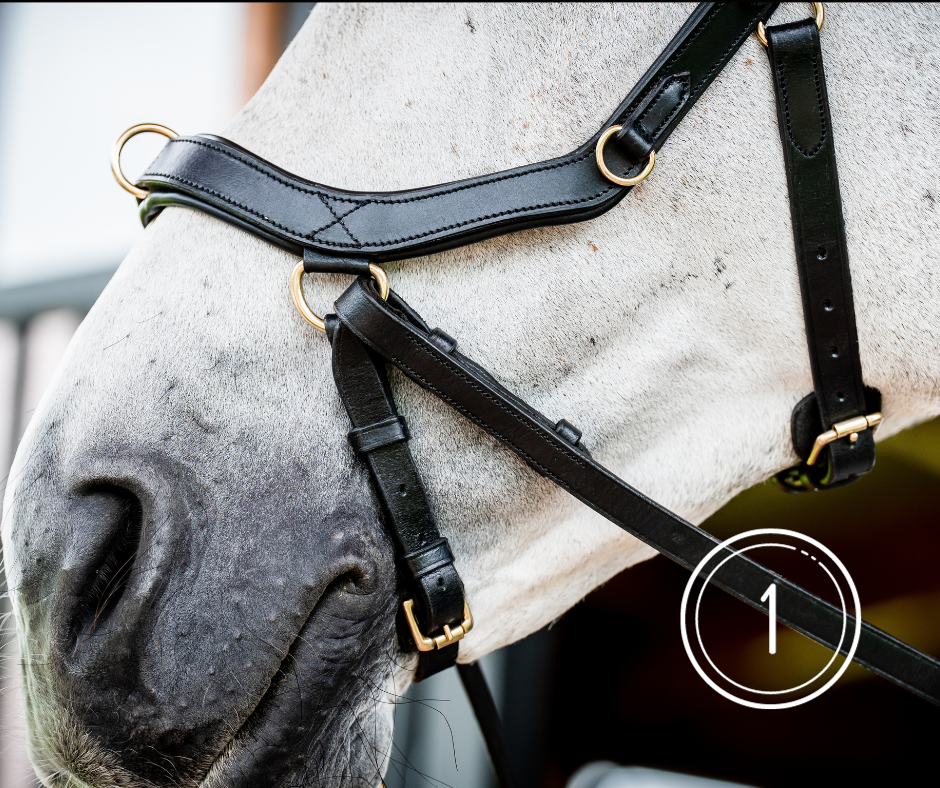 Horseware Micklem 2 Multi Bridle