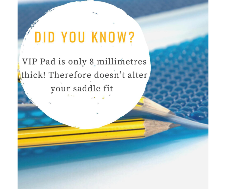 The VIP Saddle Pad