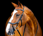 Horseware Micklem 2 Diamante Competition Bridle
