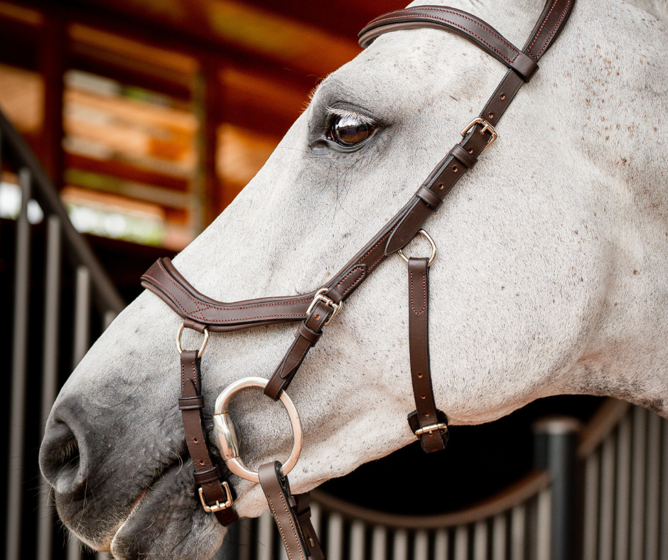 Horseware Micklem 2 Competition Bridle