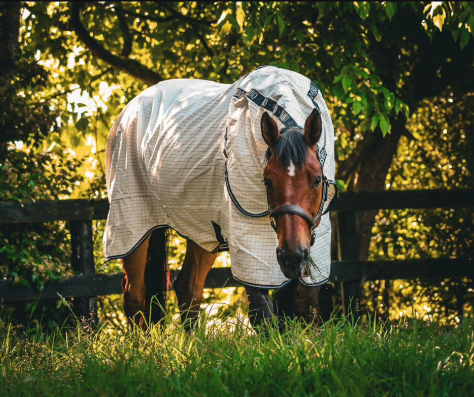 Rambo Allrounder V-Front - Size 4'3NZ (5'6Uk)