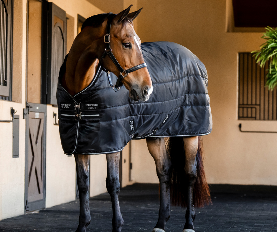 Amigo Ripstop Insulator Plus Stable Rug 200g