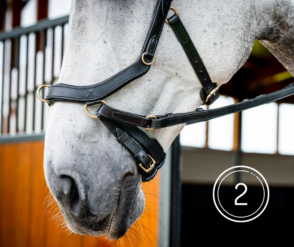 Horseware Micklem 2 Multi Bridle