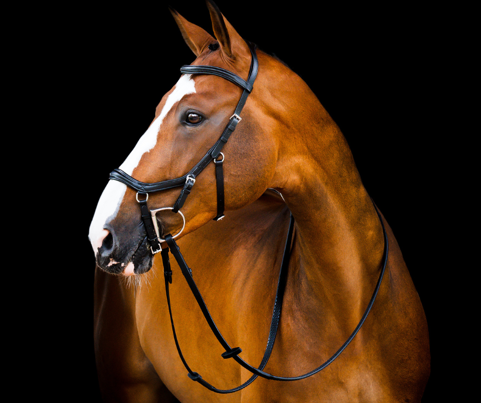 Horseware Micklem 2 Deluxe Competition Bridle