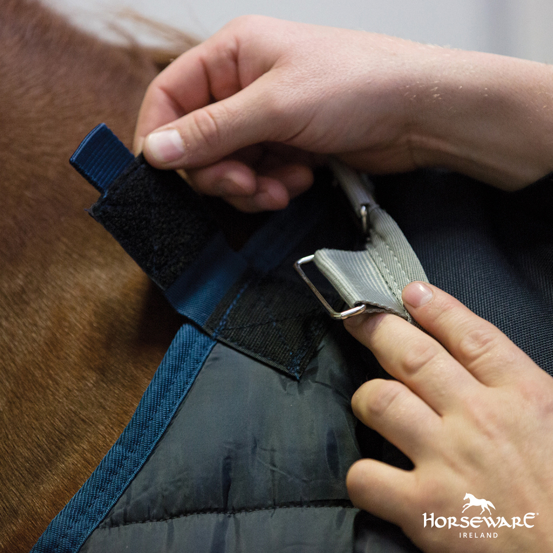 Horseware Liner - 100g