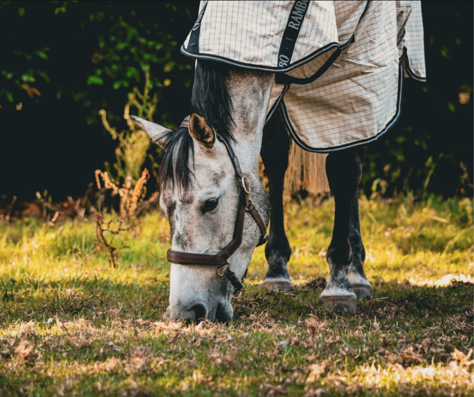 Rambo Allrounder V-Front - Size 4'3NZ (5'6Uk)