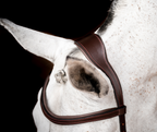Horseware Micklem 2 Competition Bridle