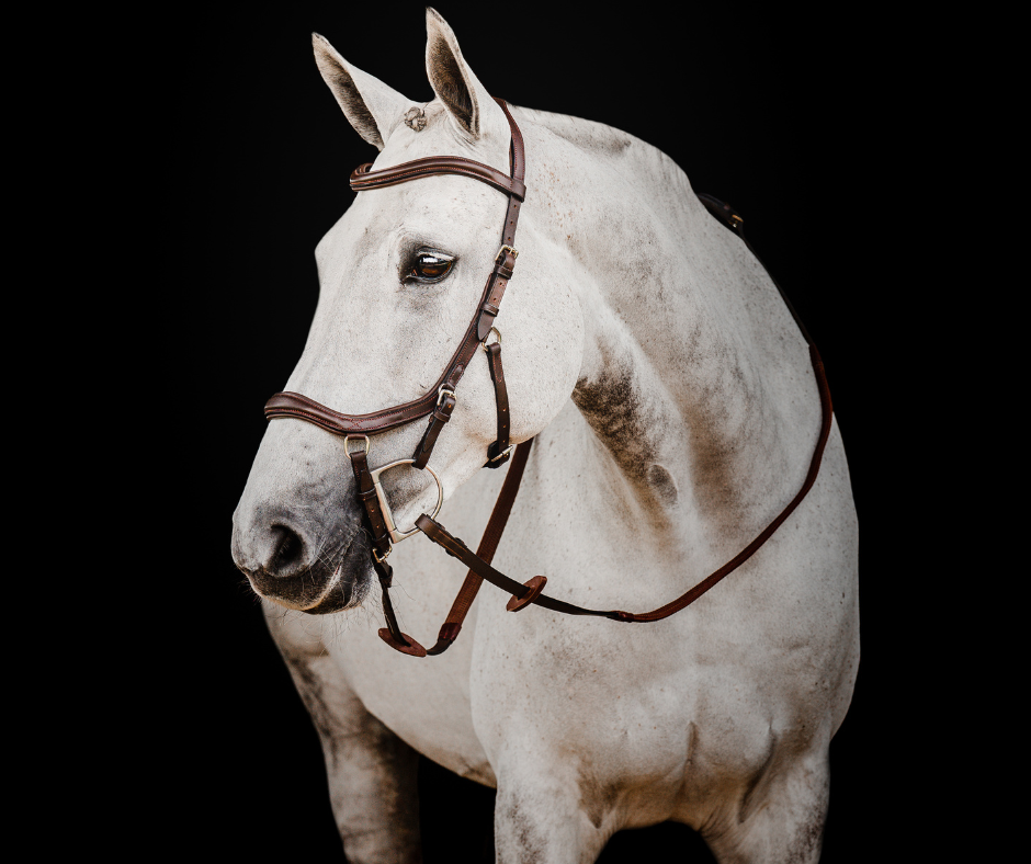 Horseware Micklem 2 Deluxe Competition Bridle