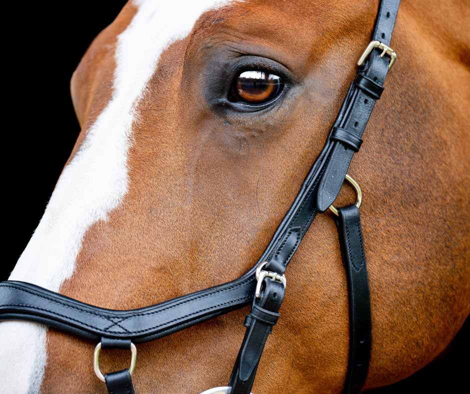 Horseware Micklem 2 Competition Bridle