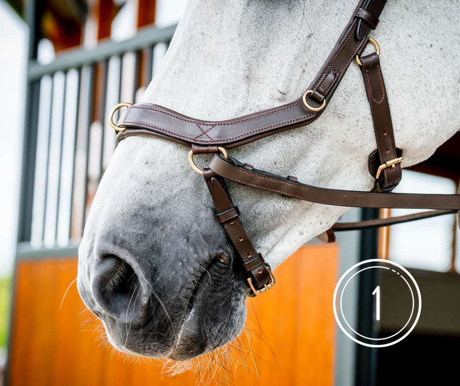 Horseware Micklem 2 Multi Bridle