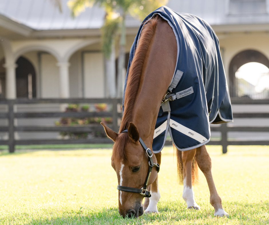 Amigo 1200D Plus Turnout 0g