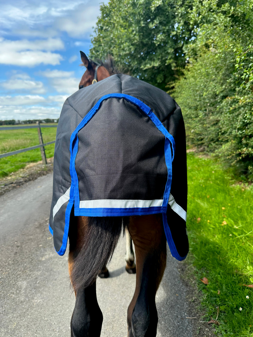 Amigo Ripstop 900D Foal Turnout 50g