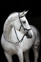 Rambo Micklem Deluxe Competition Bridle