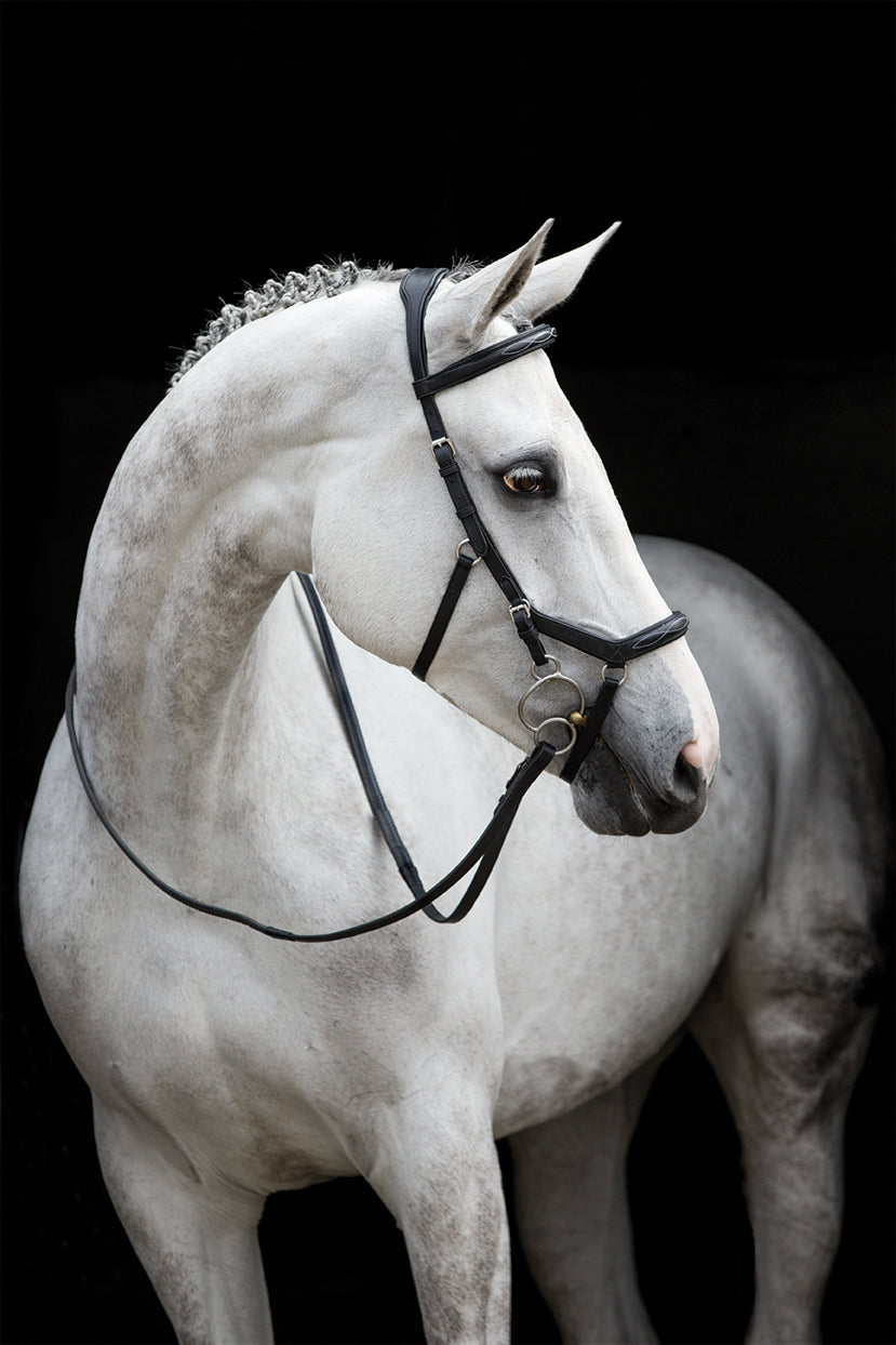 Rambo Micklem Deluxe Competition Bridle