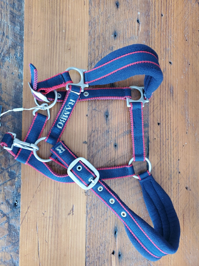 Rambo Padded Headcollar - Pony