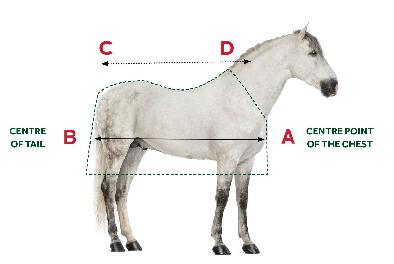 Horseware Rug Fit Measuring Guide image