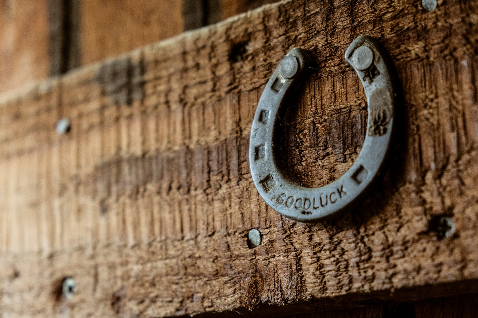 Image of a horseshoe nailed to a wall with the text Goodlluck