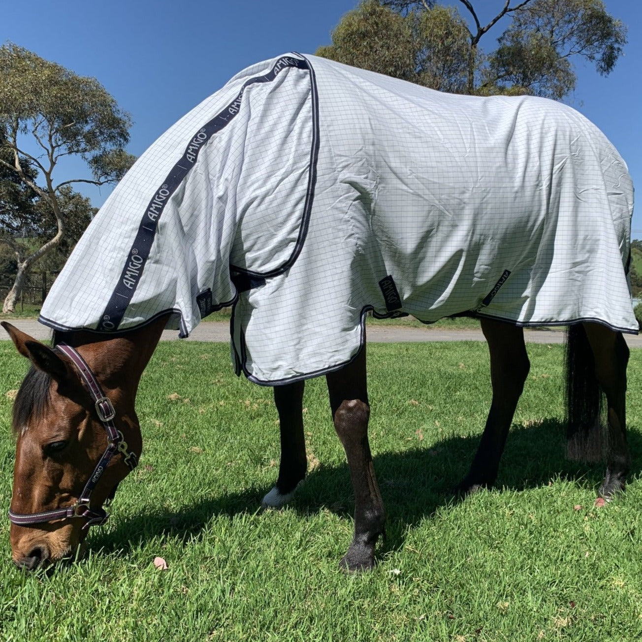 Amigo Helix Allrounder Disc Front (Pony)