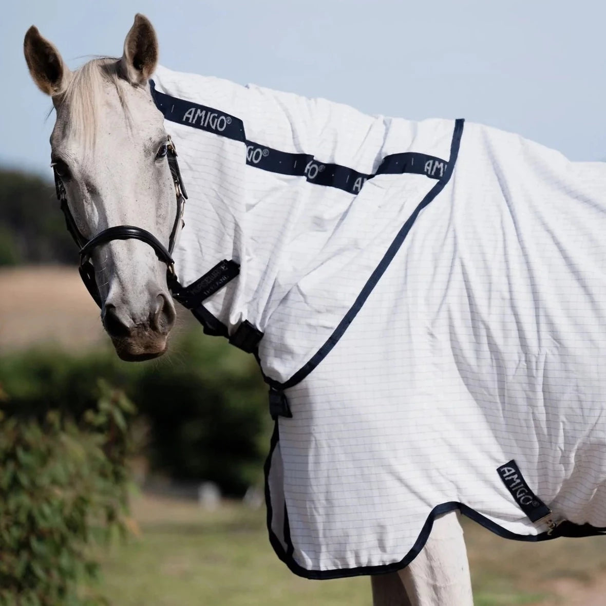 Amigo Helix Allrounder Disc Front (Pony)