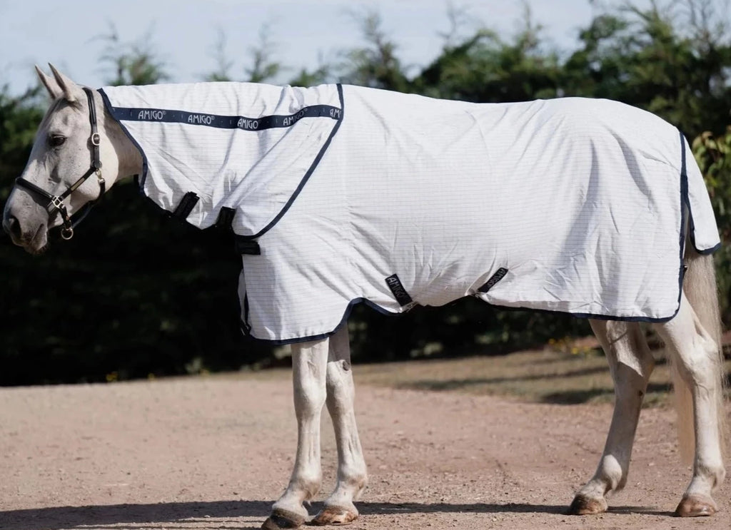 Amigo Helix Allrounder Disc Front - Size 4'6NZ (5'9UK)