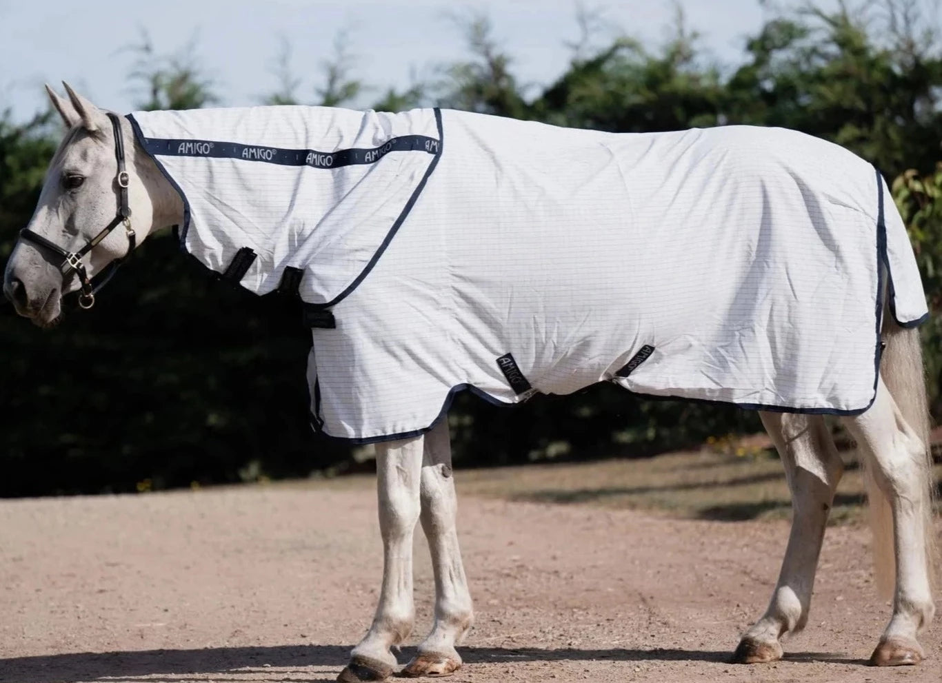 Amigo Helix Allrounder Disc Front (Pony)