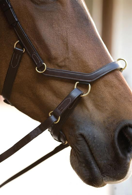 Rambo Micklem Multi-Bridle